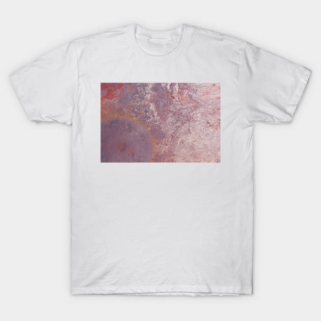 Radiant Rose T-Shirt by aestheticand